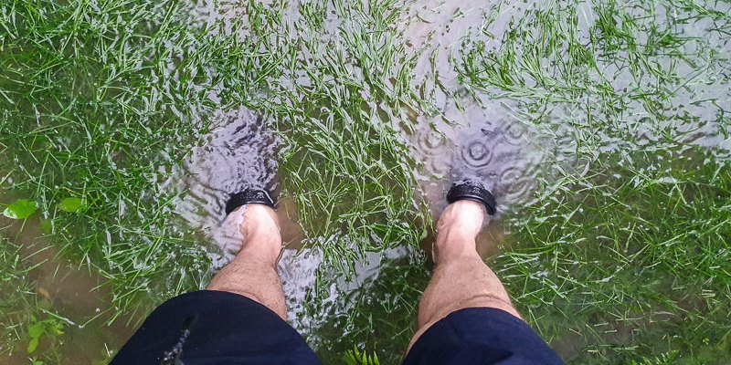 Meine Füße stehen knöcheltief im Wasser auf meinem Rasen
